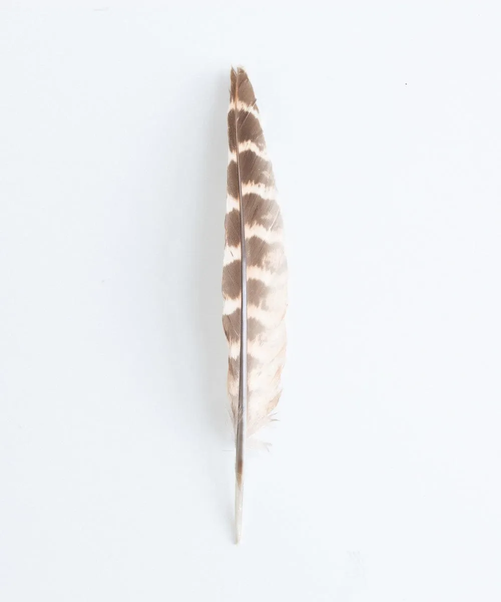 Brown   Cream Feather