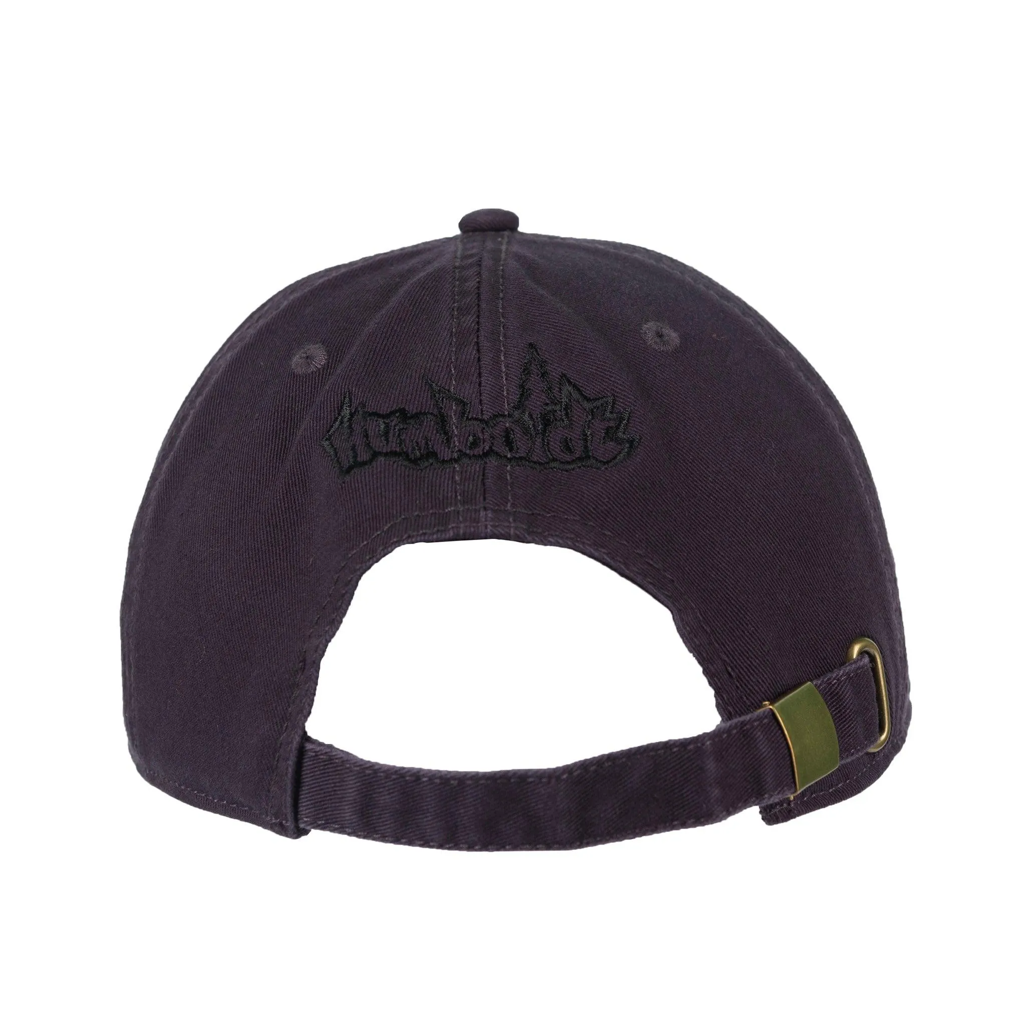 FB Mountain Scene Class Strap Hat Plum