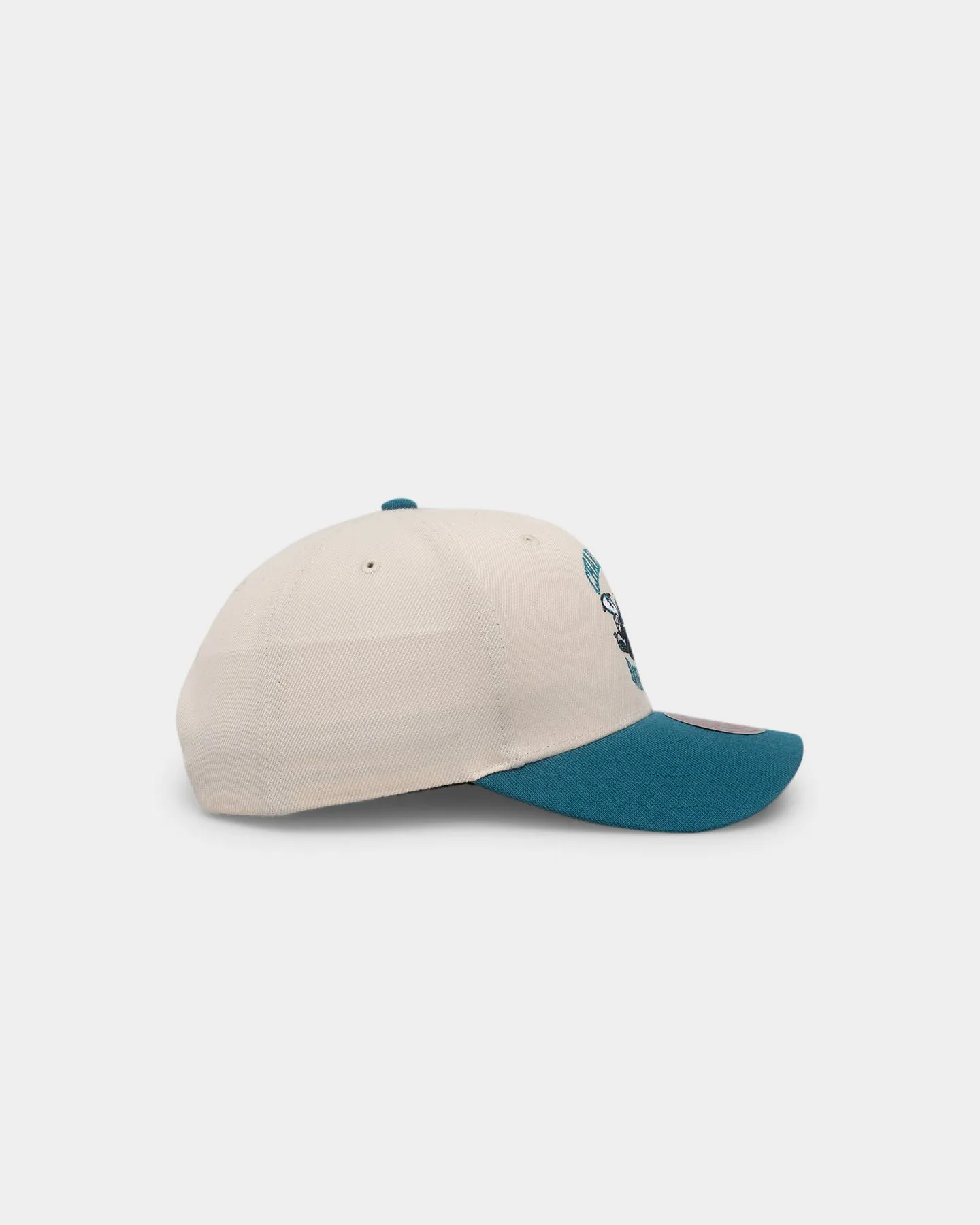 Mitchell & Ness Charlotte Hornets Vintage White Wool Snapback Vintage White