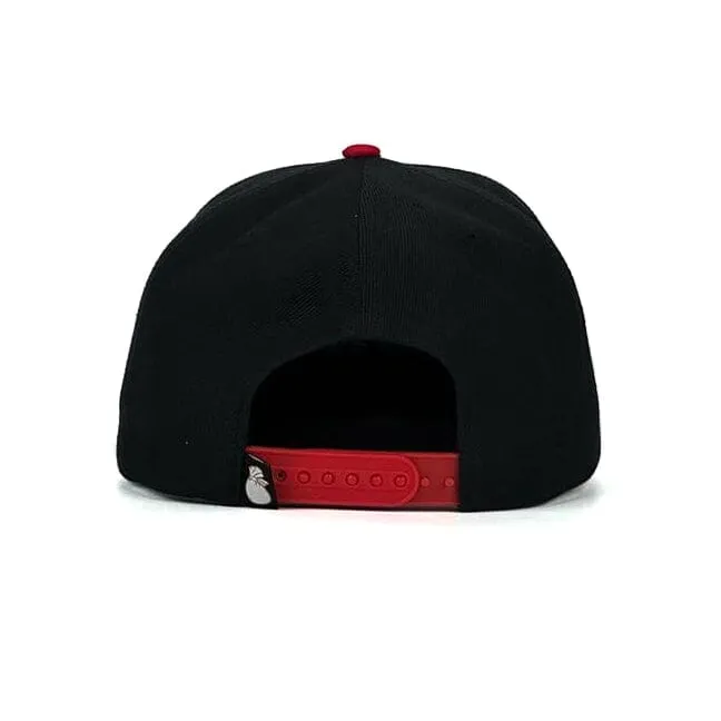 Money Bag - Black Snapback Cap