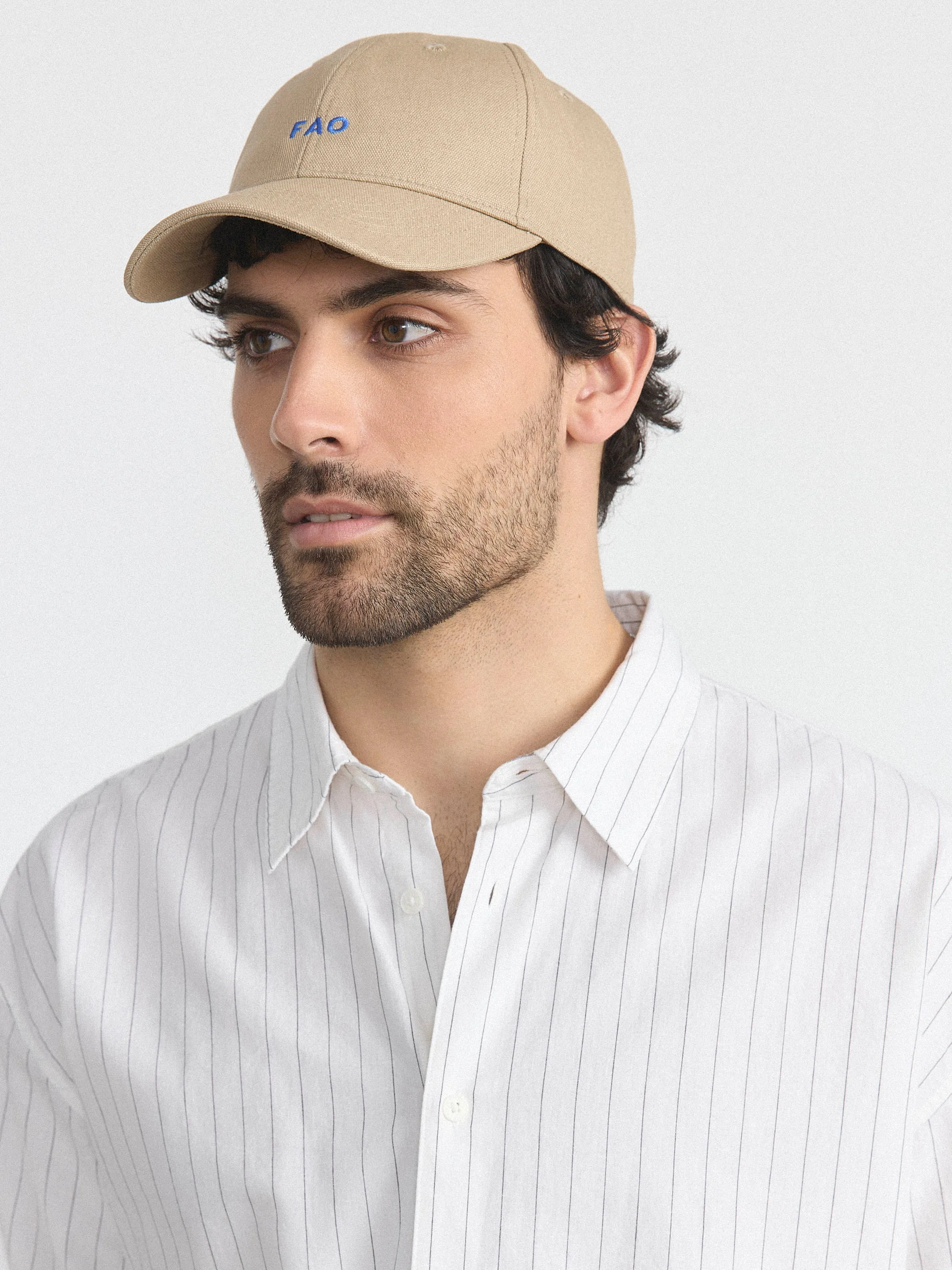 The Dad Cap in Sandstone